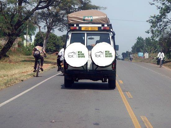 Wild Nature Safaris